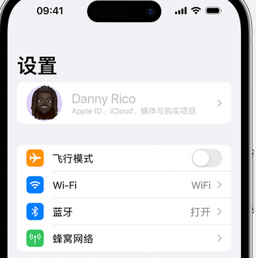 秦安appleID维修服务iPhone设置中Apple ID显示为灰色无法使用