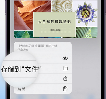 秦安apple维修中心分享iPhone文件应用中存储和找到下载文件