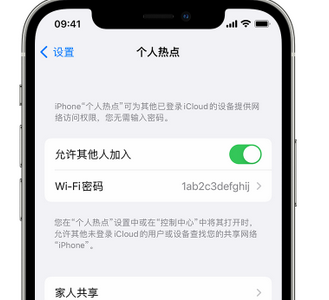 秦安apple服务站点分享iPhone上个人热点丢失了怎么办 