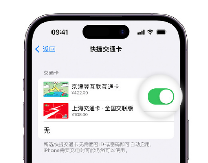 秦安apple维修点分享iPhone上更换Apple Pay快捷交通卡手绘卡面 