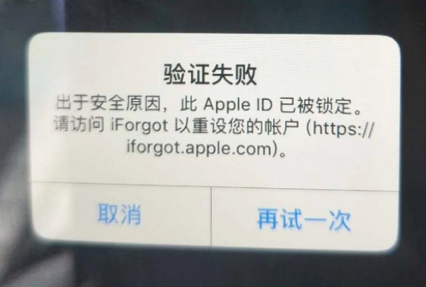 秦安iPhone维修分享iPhone上正常登录或使用AppleID怎么办 