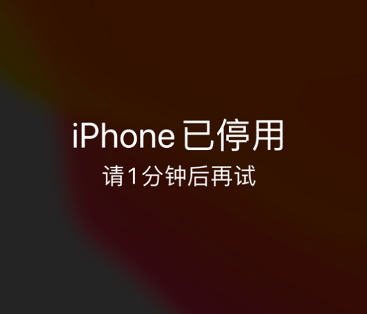 秦安苹果手机维修分享:iPhone 显示“不可用”或“已停用”怎么办？还能保留数据吗？ 