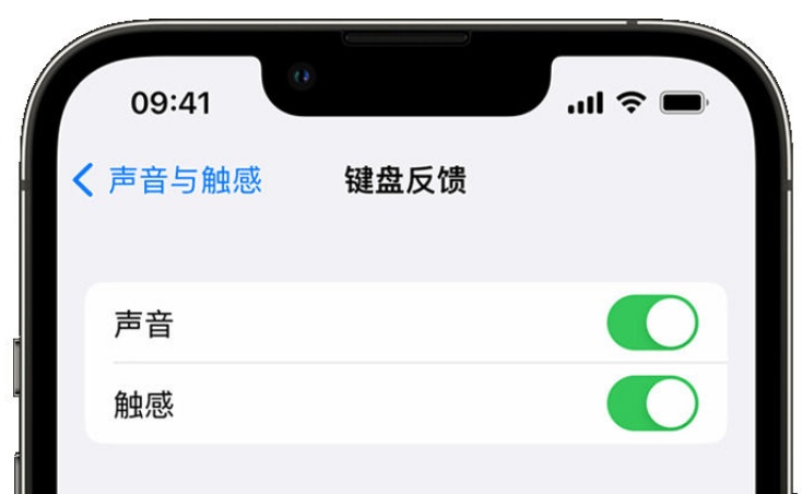 秦安苹果手机维修分享iPhone 14触感键盘使用方法 