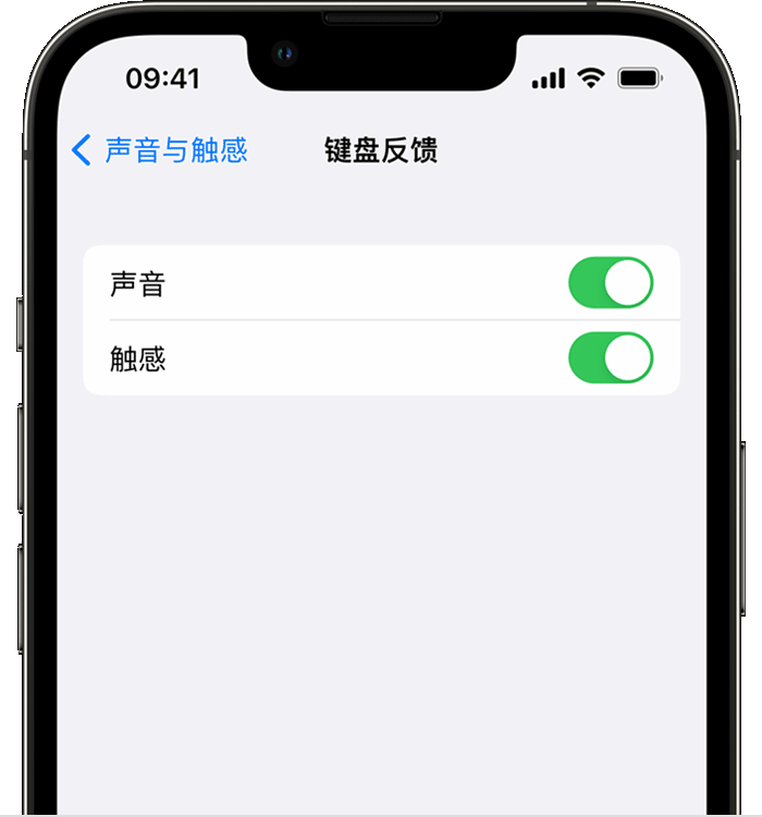 秦安苹果14维修店分享如何在 iPhone 14 机型中使用触感键盘 