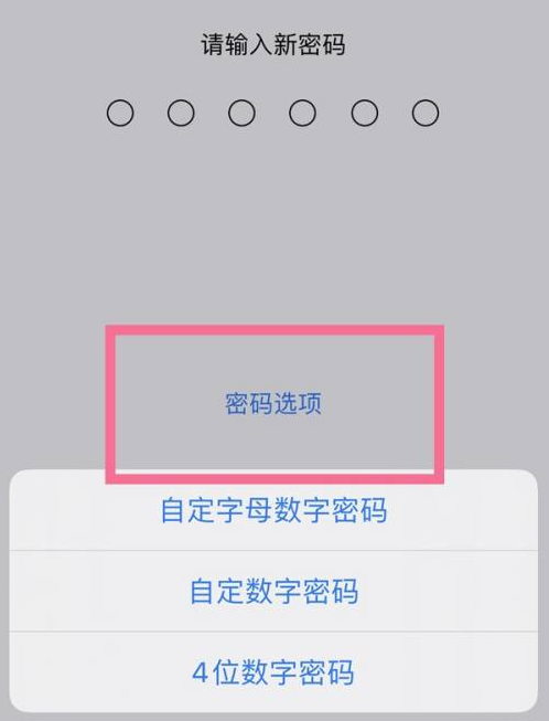 秦安苹果14维修分享iPhone 14plus设置密码的方法 