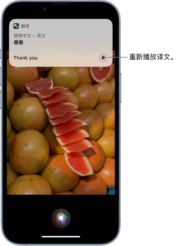 秦安苹果14维修分享 iPhone 14 机型中使用 Siri：了解 Siri 能帮你做什么 