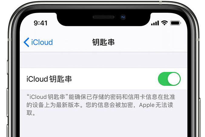 秦安苹果手机维修分享在 iPhone 上开启 iCloud 钥匙串之后会储存哪些信息 