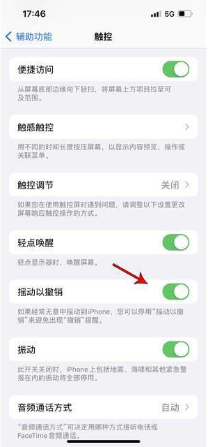 秦安苹果手机维修分享iPhone手机如何设置摇一摇删除文字 